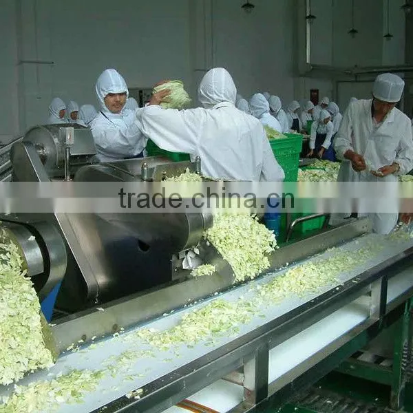 Custom Design Fruit And Vegetable Processing Line Machines photo-4