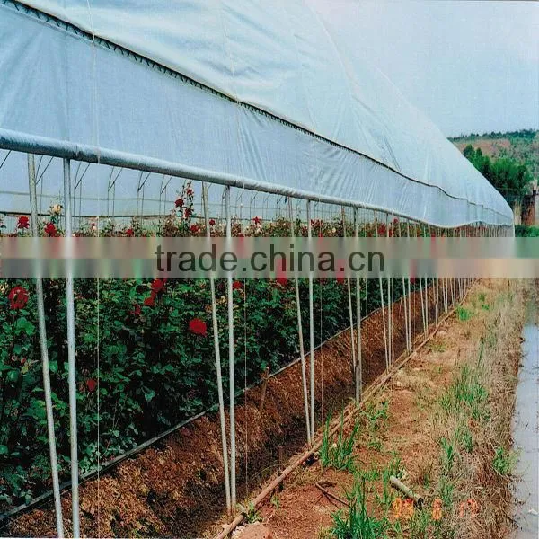 Agricultral Transparent Hdpe uv Resistant Plastic Film for Greenhouse photo-5