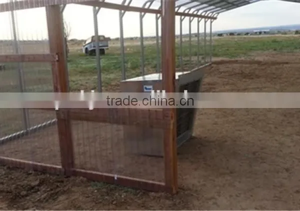 Conservatory/ Flower Grow Tent/ Garden Greenhouse photo-4