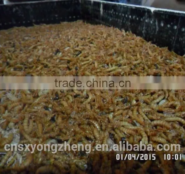 Pet Food Good Quality High Protein 2.8 cm Freeze Dried Mealworm photo-6