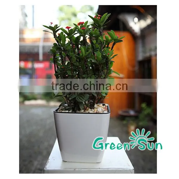 Hot Sale Plastic Plant Pot With Self Watering System photo-4