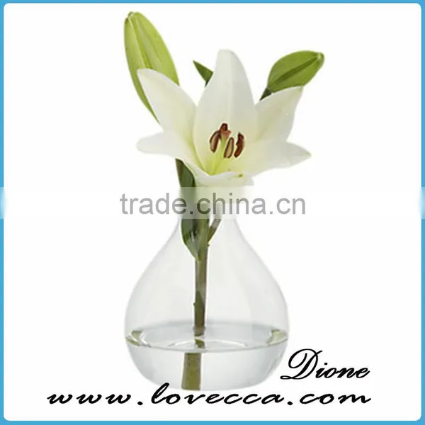 High Quality Air Plants Handblown Glass Globe Hanging Terrarium photo-4