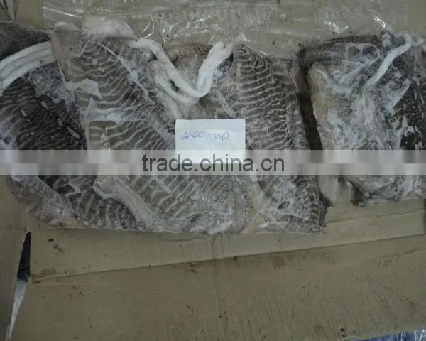 Frozen Cuttlefish photo-4