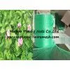 Plastic BOP Anti Bird Net&mesh Fruit&garden Protect Net&mesh Agriculture Anti Bird Net&mesh photo-2