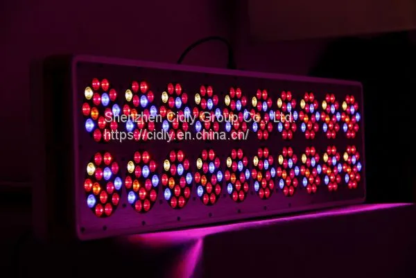 The Most Experienced Growers Like This Model CIDLY LED 900W 3W High Power Hans Panel Led Grow Light photo-3
