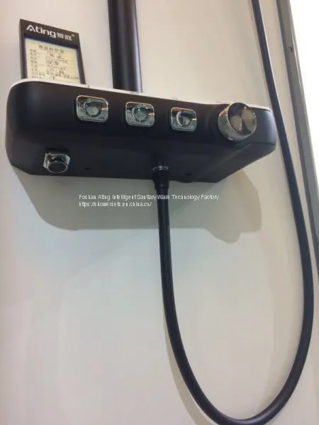 IT-P003B Shower Systems With Platform Foshan Factory Black Colour Luxury Rain Shower 3 Functions photo-5