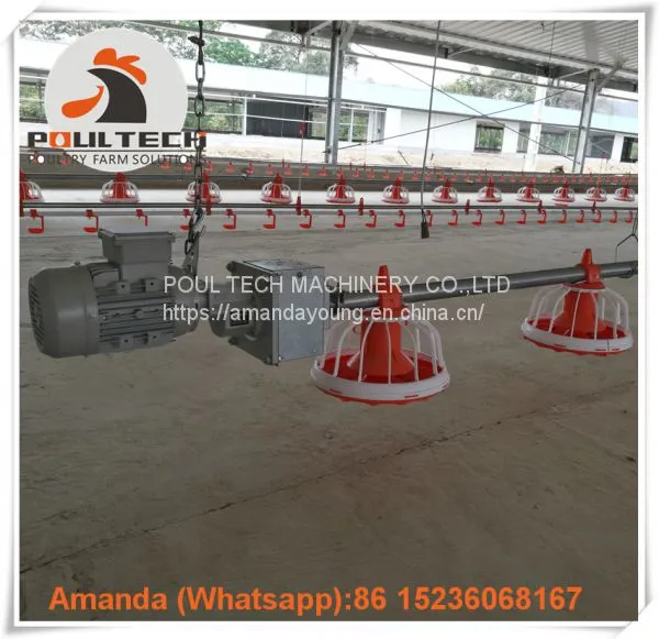 Qatar Poultry Farm & Layer Farm Equipment Broiler Floor Raising System & Chicken Deep Litter System With Automatic Drinking & Feeding Pan System in Chicken Coop photo-2