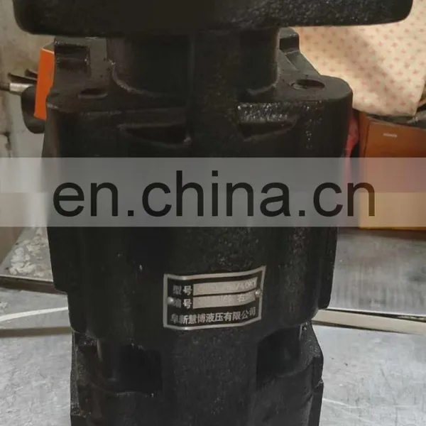 Sichuan Changjiang Hydraulic Pump Gpc4a-63/2020-218r Double Gear Pump Gpc40-50/20-a3r Oil Pump photo-3