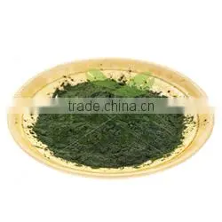 Spirulina