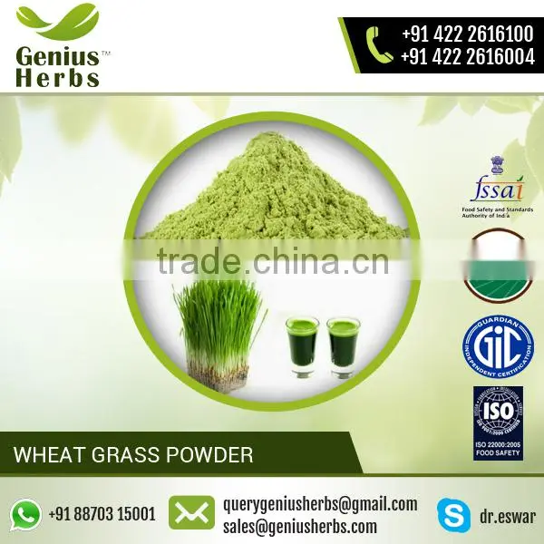 100% Water Soluble Organic Green Wheat Grass Powder for Sale photo-3
