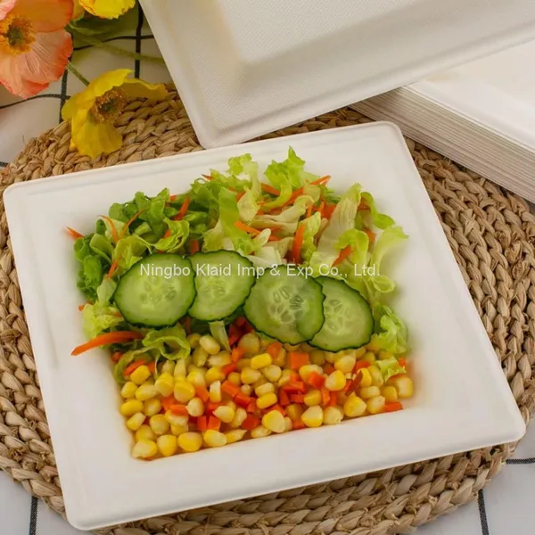 10”Hot Selling Party Restaurant Eco-Friendly Disposable Biodegradable Plates Sugarcane Bagasse Square Plates(500/ Case) photo-4