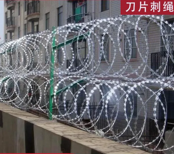 Razor Wire Stainless Steel Roller Cage Anti Rust Protection Barbed Wire Barbed Wire Anti Theft Anti Climbing Barbed Wire Fence Anti Climbing Mesh photo-4