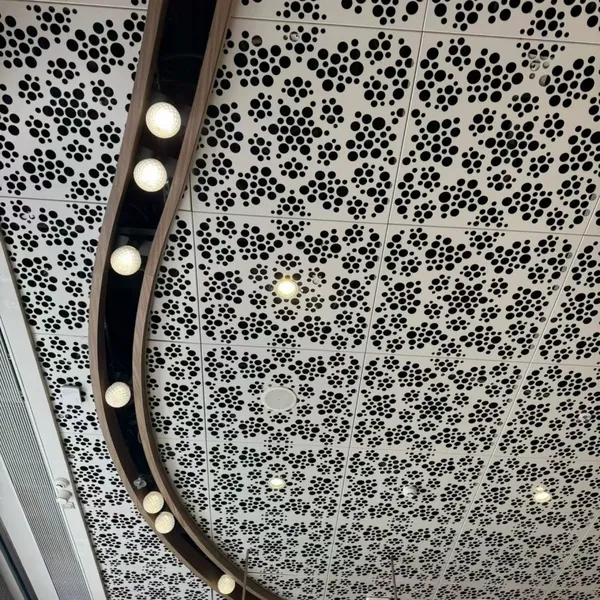 Curtain Wall Aluminum Single Plate Punching Carving Exterior Wall Fluorocarbon Paint Ceiling Decoration Manufacturer Custom Modeling photo-2