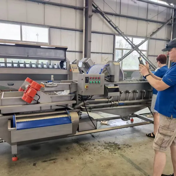 Energy Saving Commercial Vegetables and Fruit Washing Machine Industrial Automatic Stainless Steel Food Cleaning Washing Line photo-3