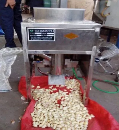 Small 100kgs Hot Sell Dry Garlic Separator Separating Equipment Onion Peeling Peeler Machine Price photo-2