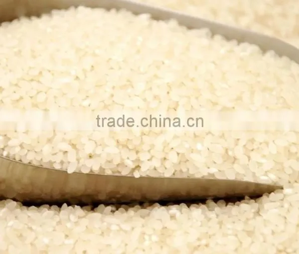 Instant /Nutritional /Artificial Rice Making Machine/Production Line photo-3