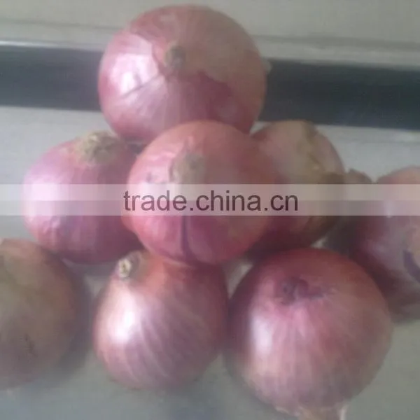 Fresh Red Onions