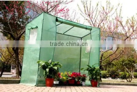 Square Sunshine Green House With Window