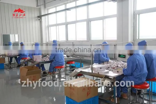 China Dried Goji Berries-EU Qualified photo-3