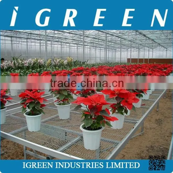 Commercial Glass Greenhouse for Flower photo-6