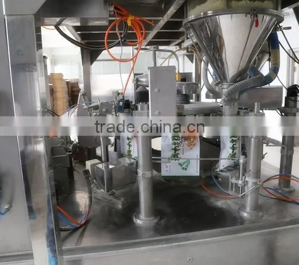 Ginger Powder Top Grade Factory Price photo-5