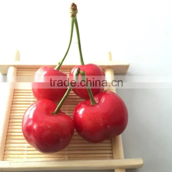 China Paper Bagged Fresh Cherries photo-5