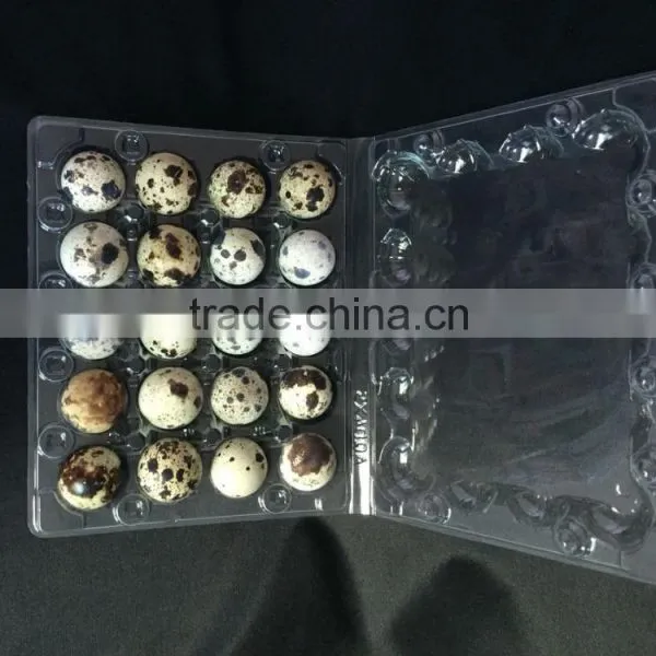 Plastic Quail Egg Plate for Packaging ,20 Quail Egg Cartons for Sale