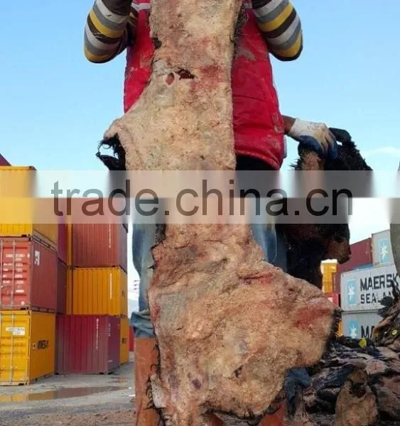 WET SALTED COW HEAD SKIN photo-4