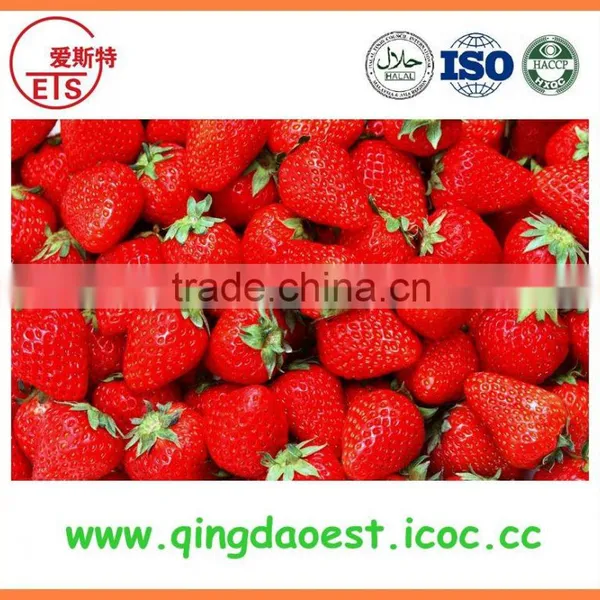 New Crop Best Quality Fresh Whole Strawberry photo-4