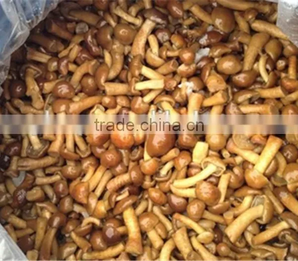 Nameko in Brine