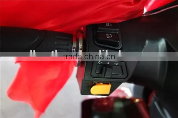 250cc 3 Wheel Tricycle for 2 Adults and Sale photo-3