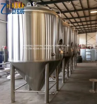 Certificated 5bbl 500l Electric Heating Micro Craft Brewery Equipment photo-4