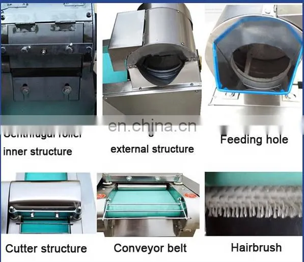 Machine Manufacturers Multifunctional Vegetable Cutting Machine / Suit for Radish Carrot Jicama Kudzu Cutting Slice Machinery photo-7