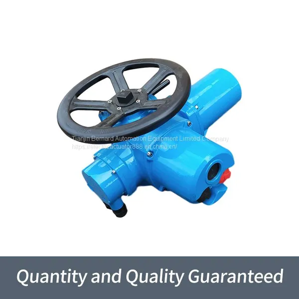 Bernard Multi-rotary Electric Actuator DZW10 Switch Type Valve Electric Device photo-5