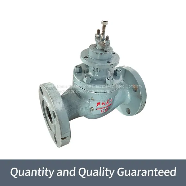 Bernard Direct Stroke Electric Actuator A+Z100/K1260 Single Seat Electric Regulator photo-4