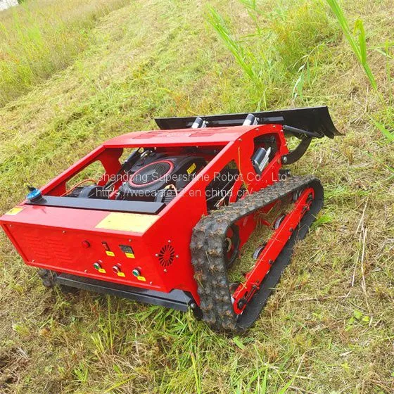 Radio Control Mower, China Grass Cutting Machine Price, Bush Remote Control for Sale photo-2