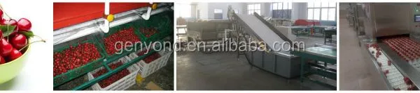 Strawberry Jam Strawberry Jam Production Line Multifunctional Fruit Processing Machine photo-3