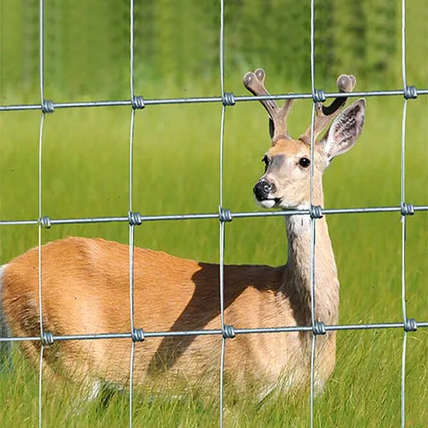 Livestock Fence Cattle Horse Sheep Grassland Fence Farm Animal Goat Deer Fence