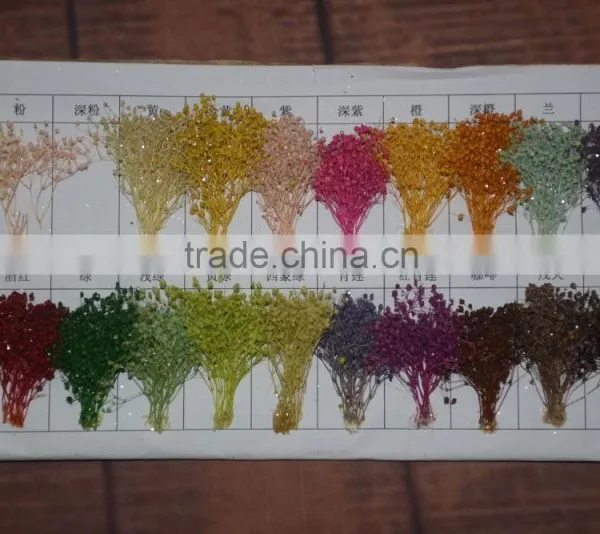 2016 Cheap Artificia Natural Dry Flower