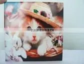 High Efficiency Digital A3 Size Flatbed Printer for Sale photo-5