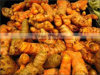 FRESH TURMETIC WITH BEST PRICE AND GOOD QUALITY photo-4