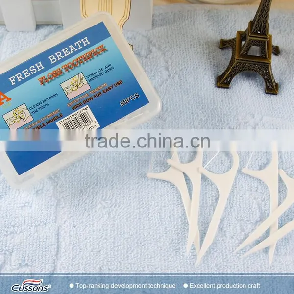OEM Factory Low Price Wholesale Plastic Dental Toothpicks photo-3