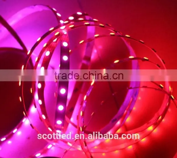 New Tape 5050 60led WS2813 Led Pixel Light Strip Non- Wterproof 60pcs With 60pixels photo-4