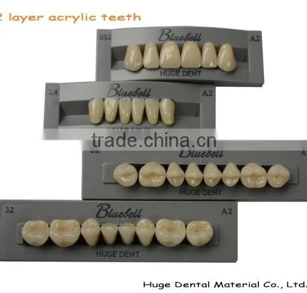 2015 Hot Sale Synthetic Polymer Teeth photo-3