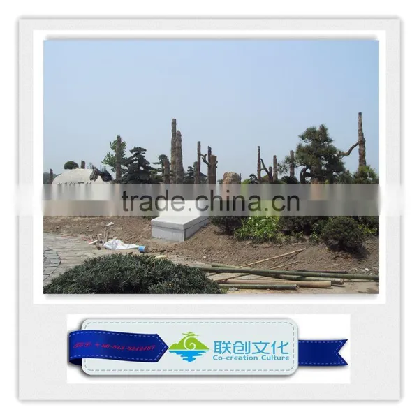Simulation Plant Siliciffied Wood photo-4