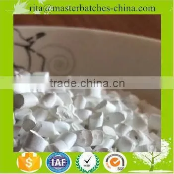 HDPE/LDPE/LLDPE White Masterbatch for Making Packaging Film and Plastic Bag photo-4