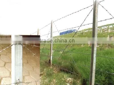 Anping Galvanized Barbed Wire for Sale Price From China photo-4