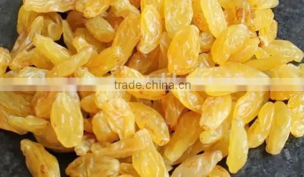 Supply Varies Dried Raisins in High Quality photo-3