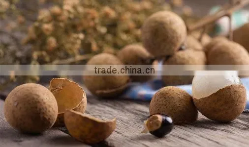 Dried Longan photo-3