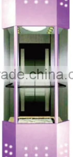 China Elegent Panoramic Passenger Elevator With Glass Cabin